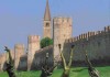 Franco Trevisan Montagnana